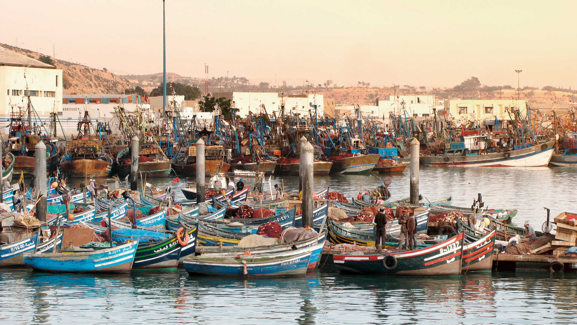 Port de pêche de Agadir